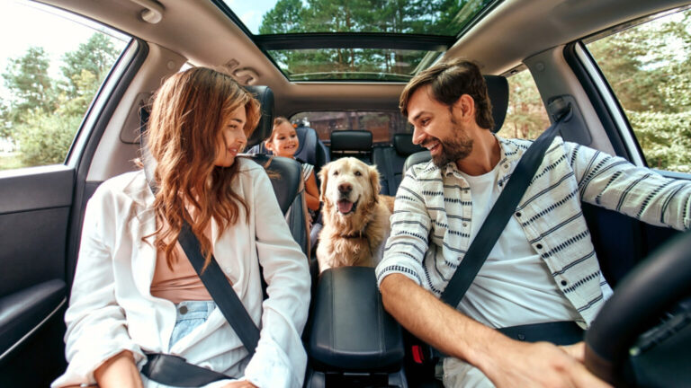 The Ultimate Guide on How to Rent a Car in Sri Lanka 2025